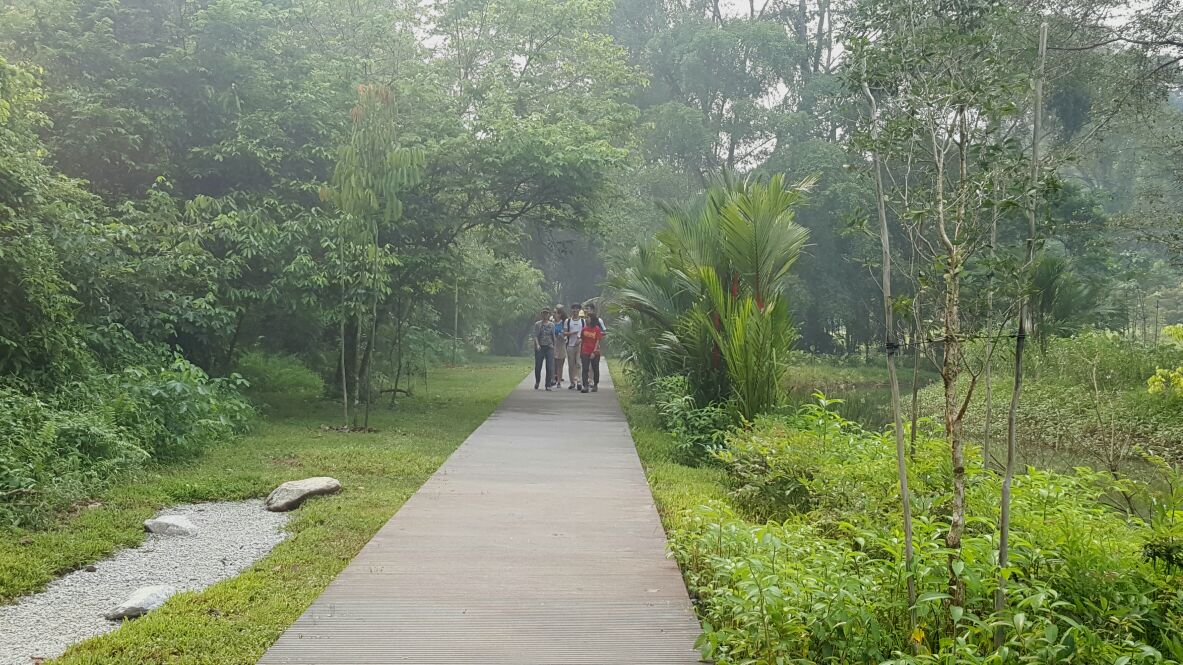  Ideally situated at the perimeter of Central Catchment Nature Reserve, the 75-hectare Windsor Nature Park is the gateway to the rich biodiversity of the largest nature reserve in Singapore. Through this guided walk, you will gain a greater appreciation of Singapore’s rich natural heritage and the need to protect it for future generations. Come join us and discover the importance of Windsor Nature Park as a buffer to the Central Catchment Nature Reserve.